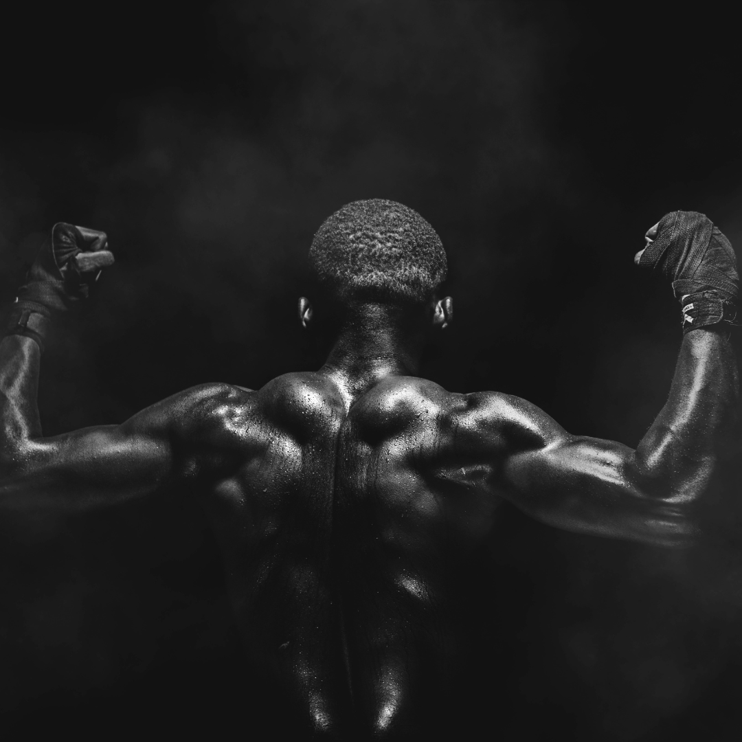 Tout savoir sur les muscles du dos